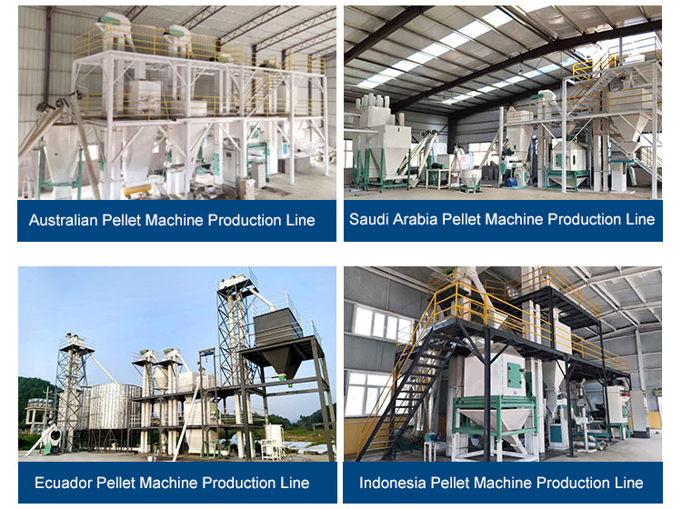 Ring Die Pellet Mill Production Line