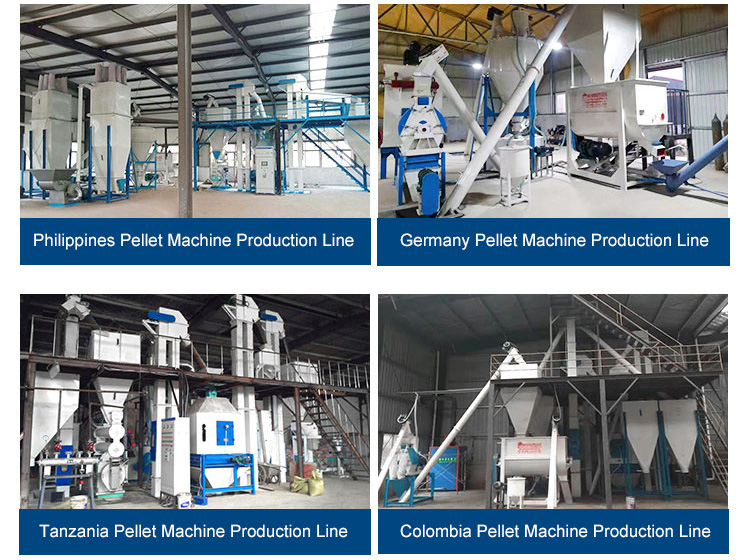 Ring Die Pellet Mill Production Line 2