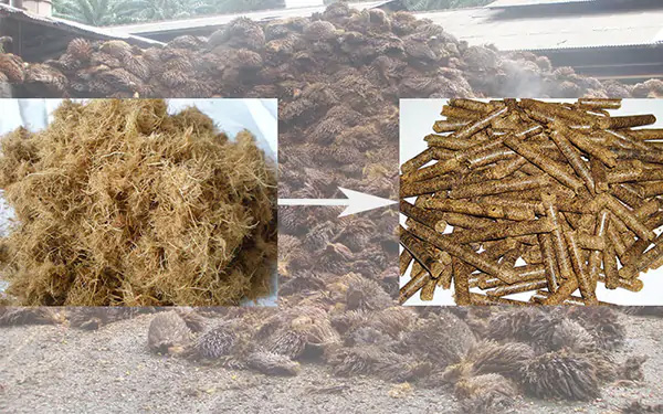 Palm Pellet Production